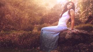 La Trakalosa De Monterrey  Amor De Marca