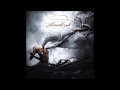 Amederia - Together 