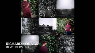 Richard Youngs - Bewilderment