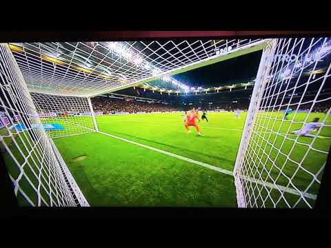 Kevin Trapp jubelt auf Werbebande