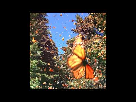 [FREE] juice wrld x trippie redd type beat - "lose my mind" (prod. level)