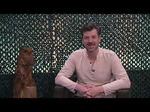 Kijk eens naar het vogeltje