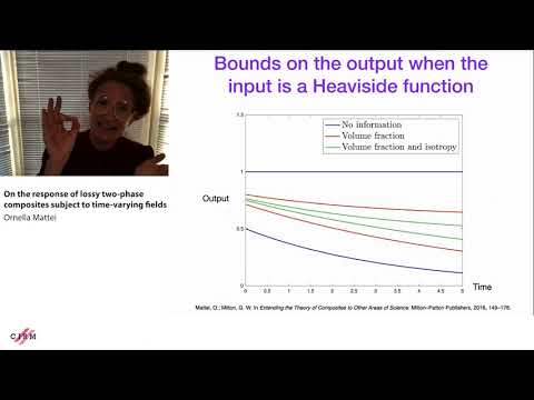 Ornella Mattei: On the response of lossy two-phase composites subject to time-varying fields