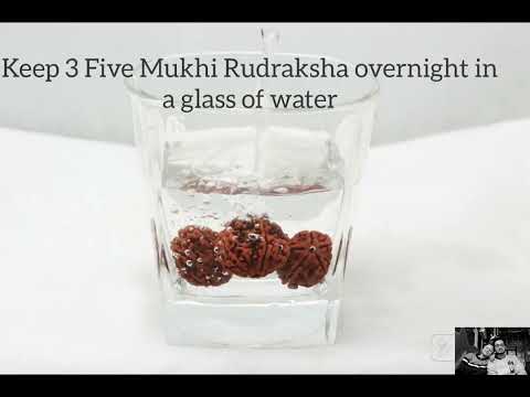 Discovering Rudraksha Water Therapy: Your Path to Health