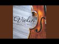Violin Concerto No. 2 in D Minor, Op. 61: I. Moderato - Molto tranquillo