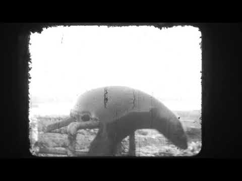 Pathe 9,5mm film scanning