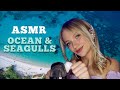 ASMR Ocean Seagulls 1 Hour Of Your Favorite Trigger No Talking