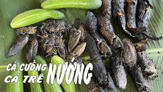 CÀ CUỐNG NƯỚNG , CÁ TRÊN NƯỚNG DÂN DÃ