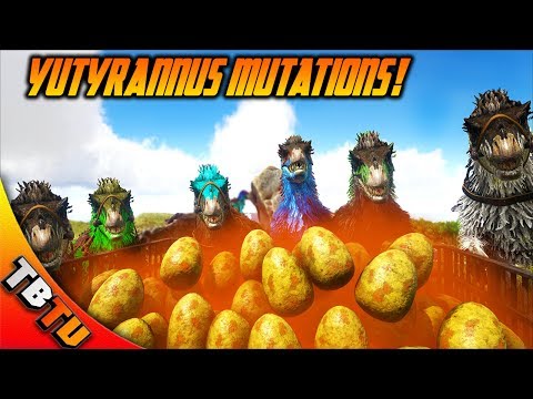 YUTYRANNUS HATCHENING! YUTYRANNUS COLOR MUTATIONS! Ark Survival Breeding Evolved