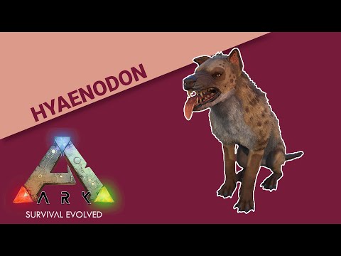 Hyaenodon Tame FAST and EASY for high taming effectiveness
