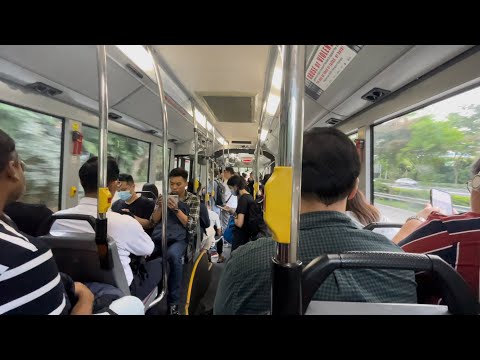 Evening Peak Hour On Tower Transit Bus Service 858 SMB8015R MAN NG363F Bendy