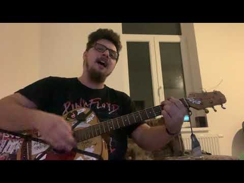 Aleš Brichta - Slečna závist/COVER