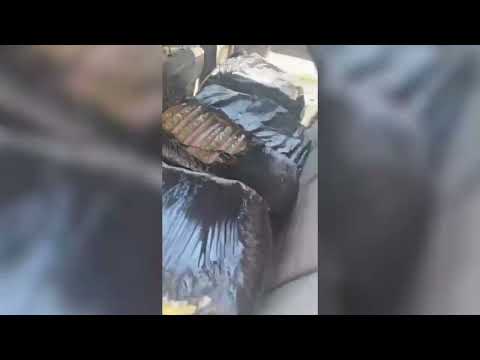 Capturado con 132 Kg de marihuana en Villa Rica, Cauca