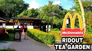 Most Picturesque Fast food in Singapore | Japanese-themed Garden