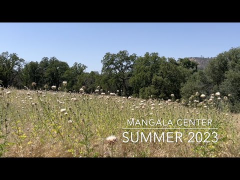 Summer 2023