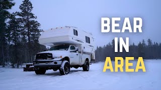 NOT What You Want To See Camping Next To A Frozen Lake In British Columbia