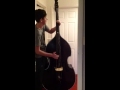 20 flight rock upright bass cover 