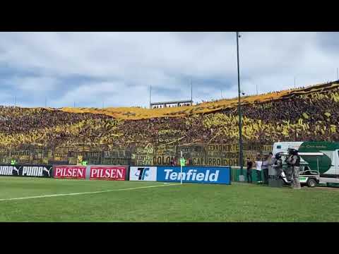 "Barra Amsterdam recibimiento 11" Barra: Barra Amsterdam &bull; Club: Peñarol