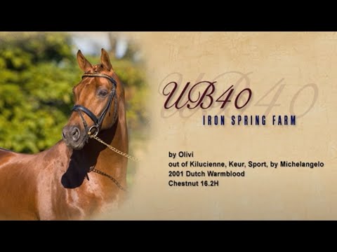 UB40, Keur, at Iron Spring Farm