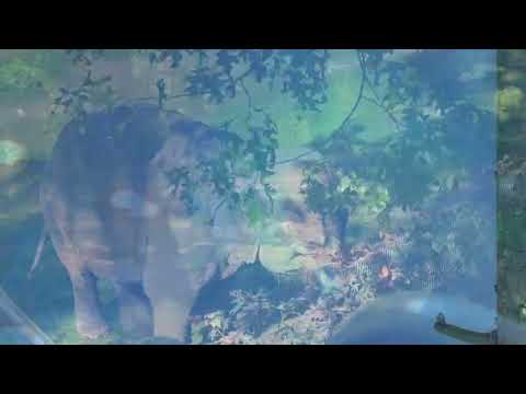 have you seen it all - vin vega