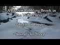 A Frozen Babbling Brook in the Wilderness - 10 Hour Loop - Sounds for Sleep