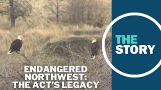 50 years after it became law, is the Endangered Species Act working?
