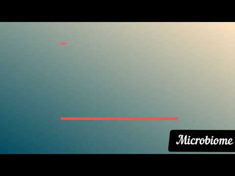 Life Cycle of Malarial Parasite