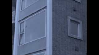 Skodiacs - My Hometown video
