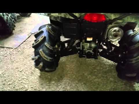 King Quad new gorilla Silverbacks and ITP hurrican