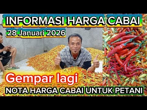 Chili prices have soared again today @Sariftanichannel6685