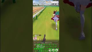 毎日王冠ダービーチャンミpart16　サイレンススズカ視点　(ダイナミックカメラ)視点　【レースシーン切り抜き】