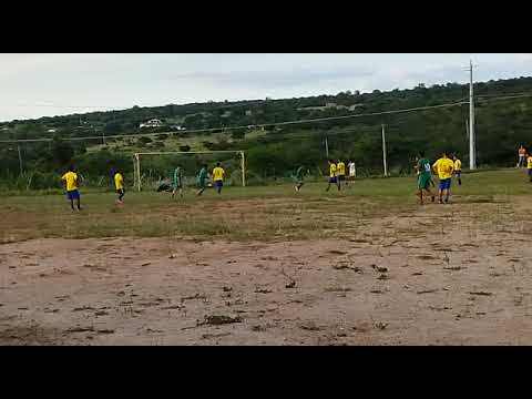 gol de didi para o canarinho