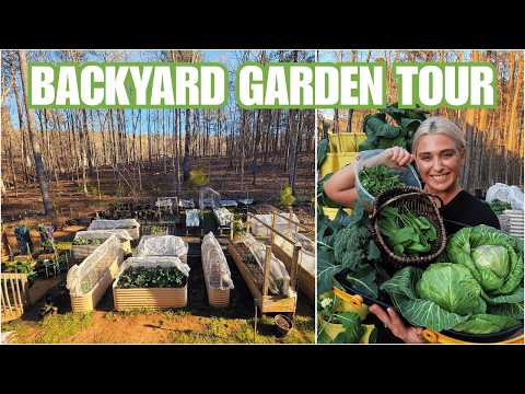 Homestead Garden Progress | A Spring Tour & Harvest Update