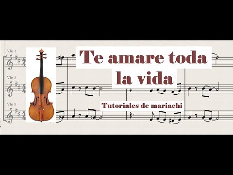 Te amare toda la vida Violin