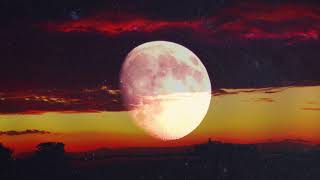 Tiësto featuring Nicola Hitchcock - In My Memory [Music Video] HD