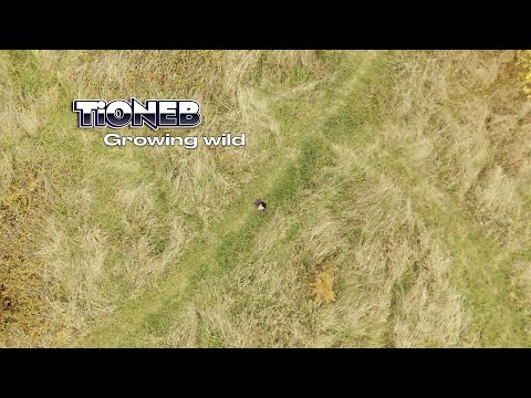 TiONEB | Growing Wild