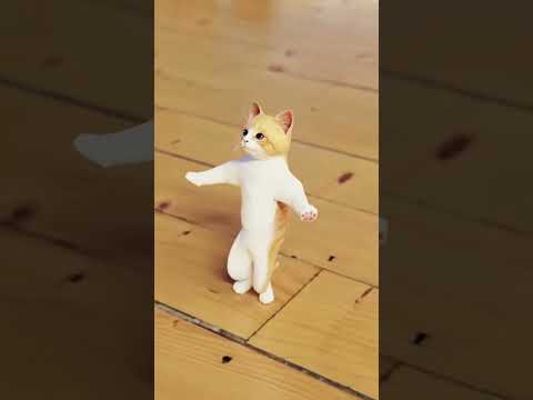 cute cat funny dance 💃😻😹 #shortvideo #youtubeshorts #shorts #catdancevideo