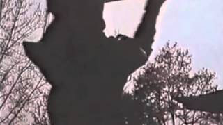 Husker Du - Something I Learned Today [SST]