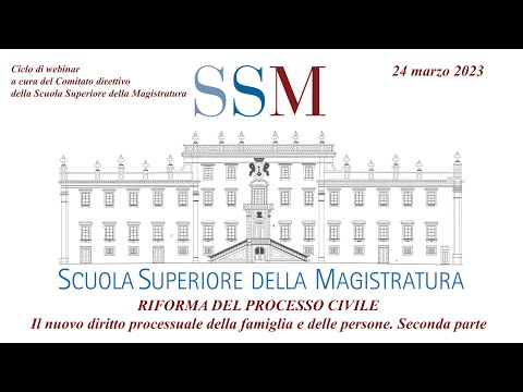 12. Il nuovo diritto processuale della famiglia e delle persone  Seconda parte