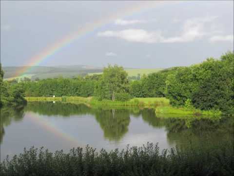 Rainbows  -  Sam Gomm