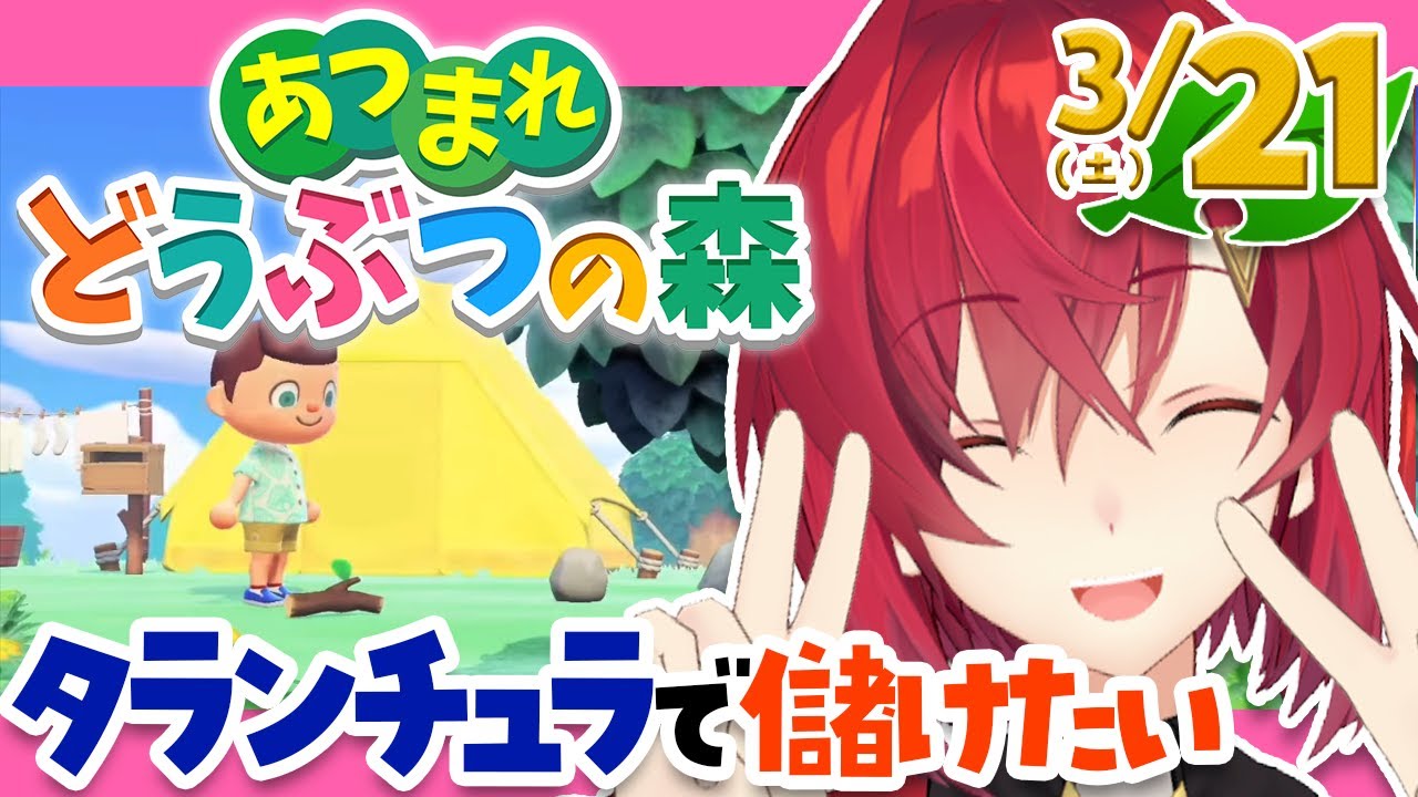 【あつまれ どうぶつの森】金のなる木…?タランチュラ…?ゴクリ…。【にじさんじ/アンジュ・カトリーナ】
