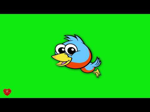 Футаж Птичка анимация хромакей
