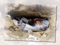 The Western Wall - The Wailing Wall - Die Klagemauer- הכותל המערבי