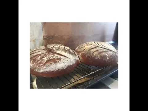 Roggenmischbrot mit Sauerteig backen