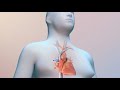 Dangers Of Diabetes High Blood Pressure And Obesity