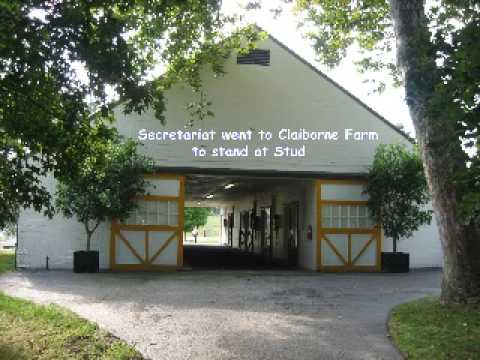 Secretariat God's Amazing Creation