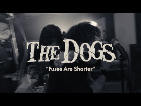 The Dogs - Fuses are Shorter