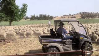 preview picture of video 'My Farm300 journey: NSW sheep producer Nick Gay (part 1 of 2)'