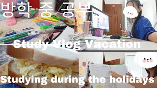 Estudos nas férias. Studies during the holidays. 휴가에 관한 연구.