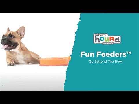 Outward Hound Fun Feeder Slow Feed Dog Bowl Teal - PetO